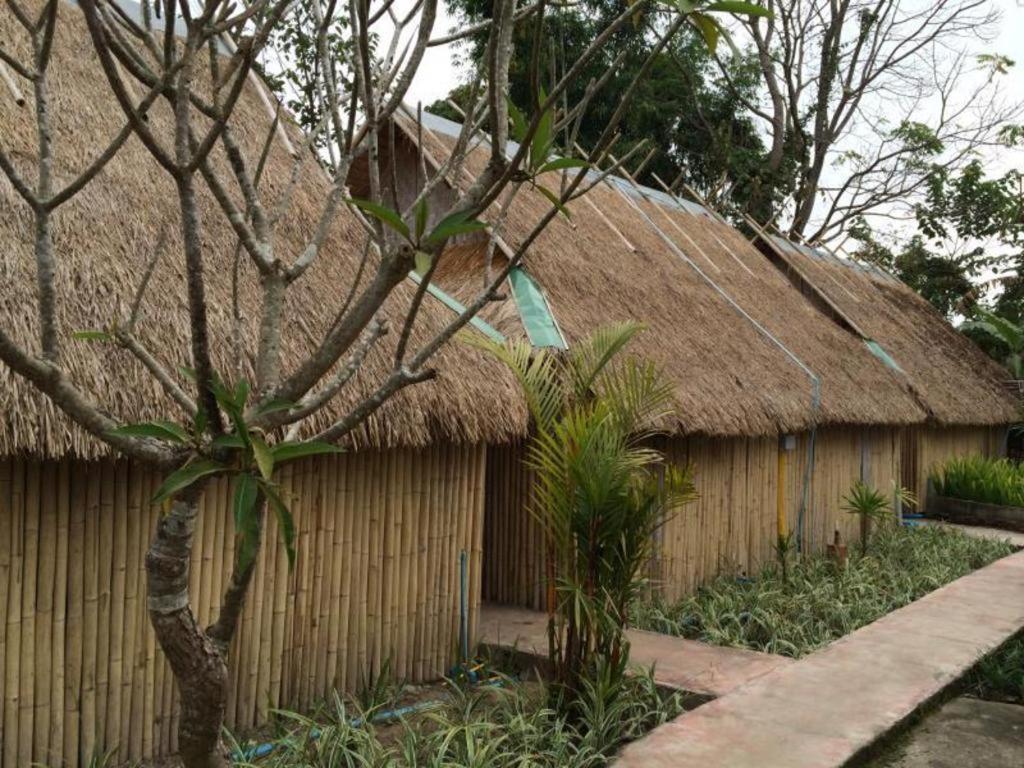 Pai Vintage Garden Resort Luaran gambar