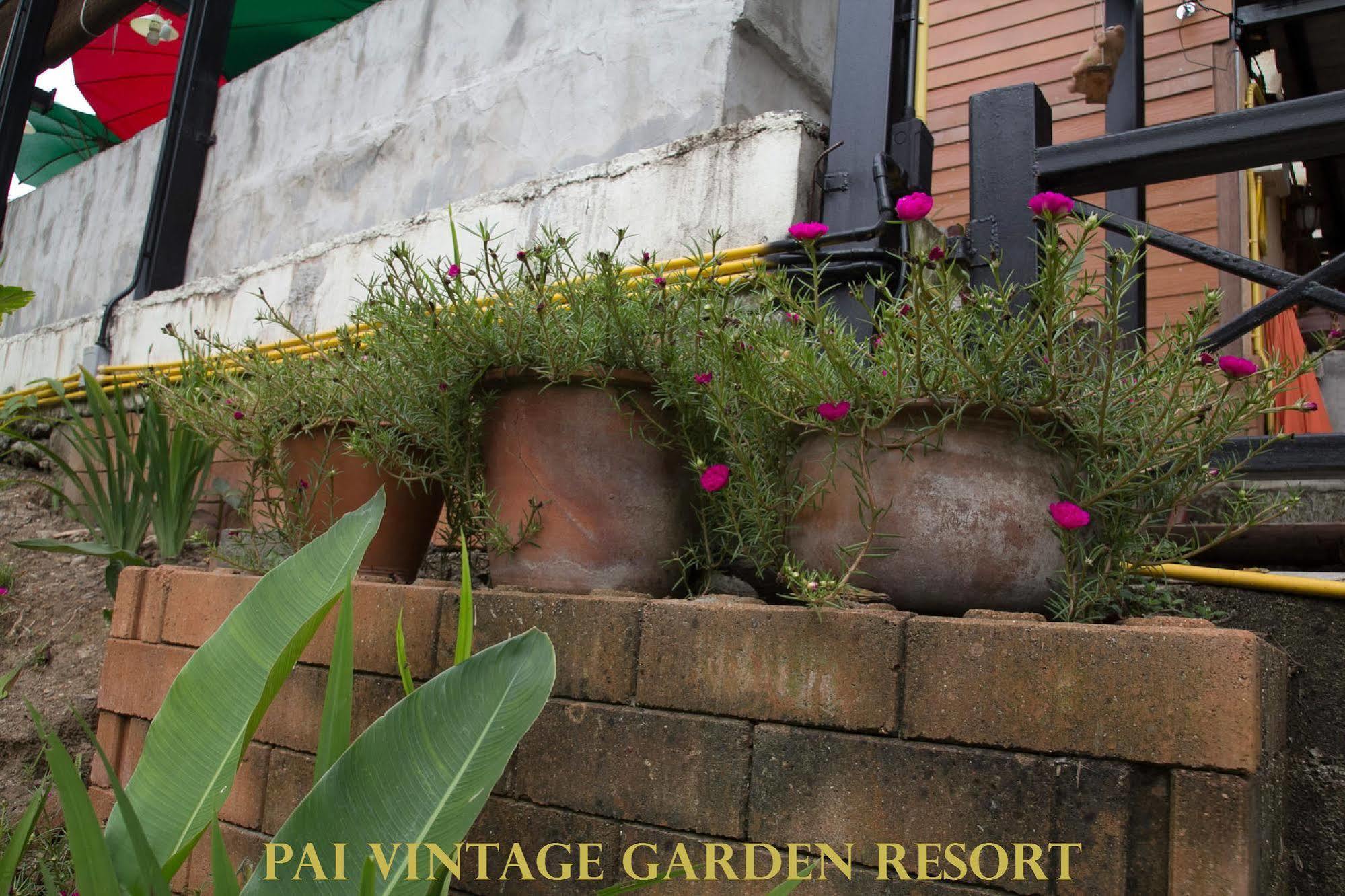 Pai Vintage Garden Resort Luaran gambar